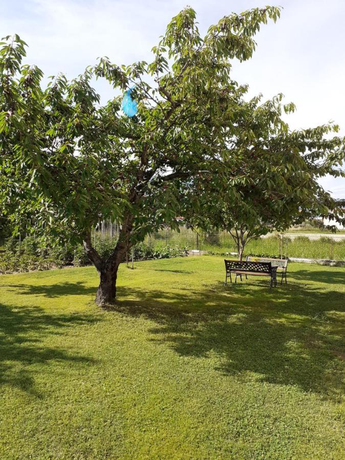 Chrysafis Apartments Vrasná Eksteriør bilde